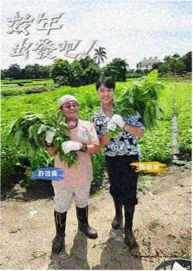 声音的旅途 音乐综艺高清